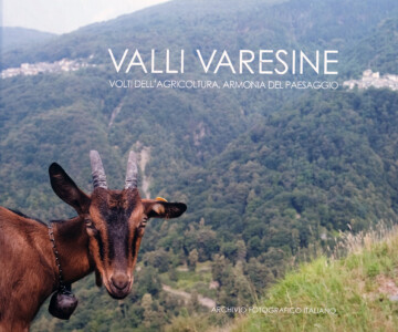 <a href="https://www.puntomarte.com/it/libro/valli-varesine" target="_blank" rel="noopener">Link al libro</a>